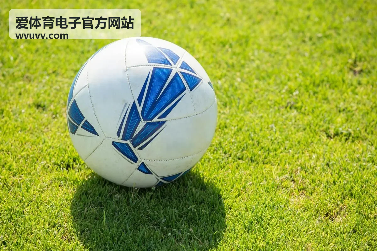 爱体育电子官方网站赛事数据服务的数据校验与接口文件双通道交付
